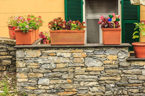 Decoração de flor da casa — Fotografia de Stock