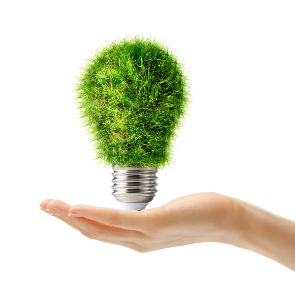 Lamp bulb made of green grass — Stock Photo, Image