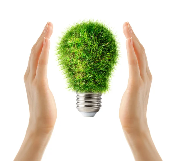 Lamp bulb made of green grass — Stock Photo, Image