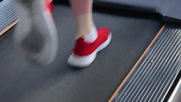 Donna formazione sul tapis roulant, gambe primo piano — Video Stock