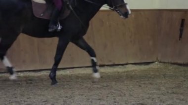 Hipodromda ata binen bir kız.