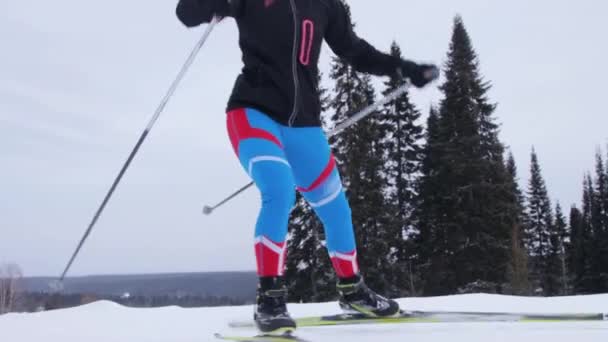 Jonge vrouw skiën op een bospad — Stockvideo