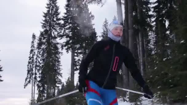 Junge Frau beim Skifahren auf Waldweg — Stockvideo