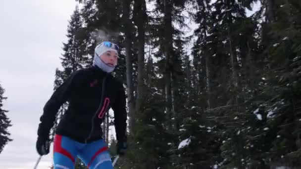 Junge Frau beim Skifahren auf Waldweg — Stockvideo