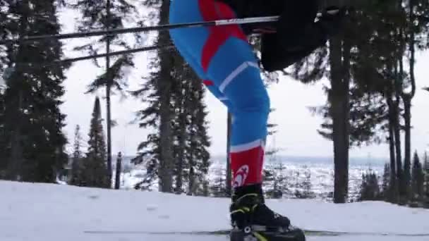 Junge Frau beim Skifahren auf Waldweg — Stockvideo
