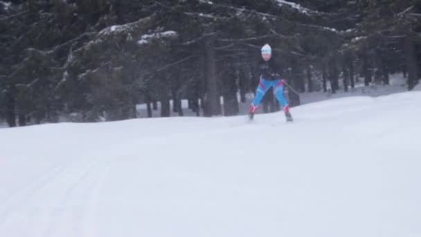 森のトレイルで若い女性スキー — ストック動画