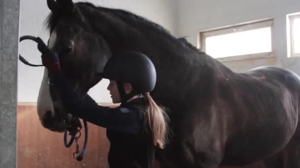 Chica preparando caballo para montar a caballo — Vídeos de Stock