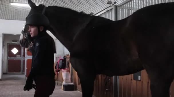 Flicka med hästen i stallet — Stockvideo