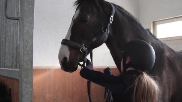 Chica preparando caballo para montar a caballo — Vídeos de Stock