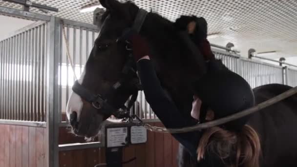 Chica preparando caballo para montar a caballo — Vídeos de Stock