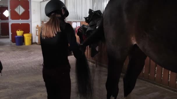 Flicka förbereda häst för ridning — Stockvideo