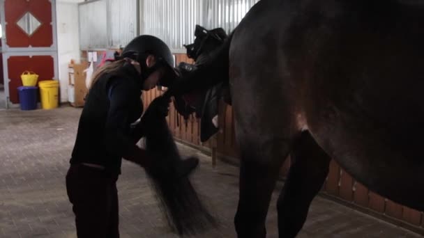 Meisje voorbereiding paard voor paardrijden — Stockvideo