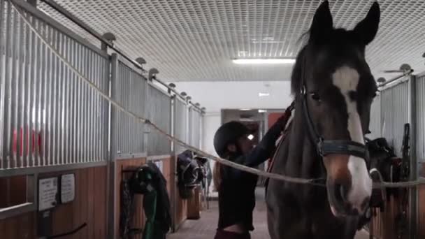Meisje voorbereiding paard voor paardrijden — Stockvideo
