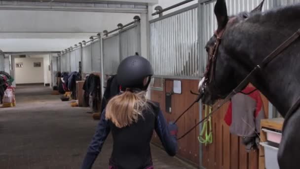 Flicka promenader med häst längs stallet — Stockvideo