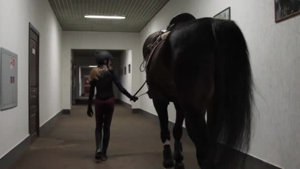 Meisje wandelend met paard langs de stallen — Stockvideo