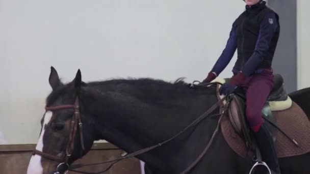 Дівчина верхи на коні на гіподромі — стокове відео