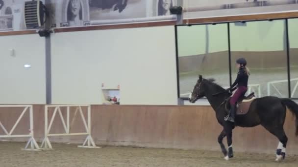 Flicka rider sin häst på hippodromen — Stockvideo