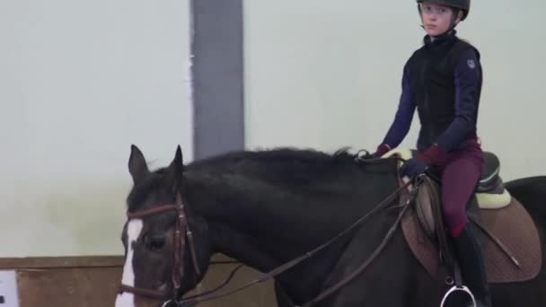 Mädchen reitet ihr Pferd auf Hippodrom — Stockvideo