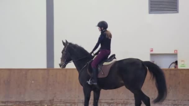 Flicka rider sin häst på hippodromen — Stockvideo