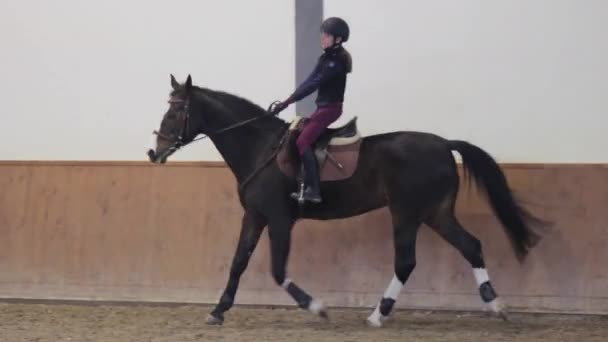 Flicka rider sin häst på hippodromen — Stockvideo