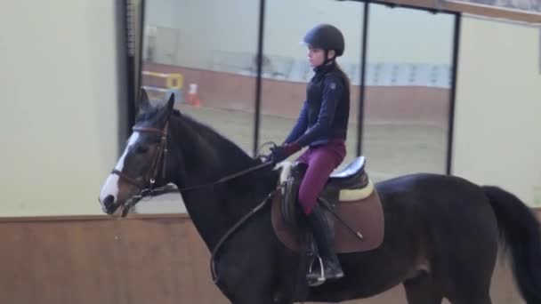 Menina montando seu cavalo no hipódromo — Vídeo de Stock