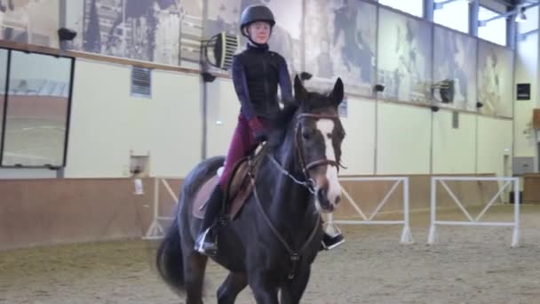 Lány lovaglás a ló a víziló — Stock videók