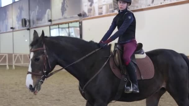 Chica montando su caballo en el hipódromo — Vídeos de Stock