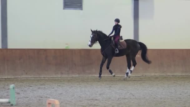 Lány lovaglás a ló a víziló — Stock videók