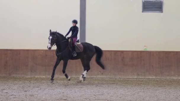 Flicka rider sin häst på hippodromen — Stockvideo