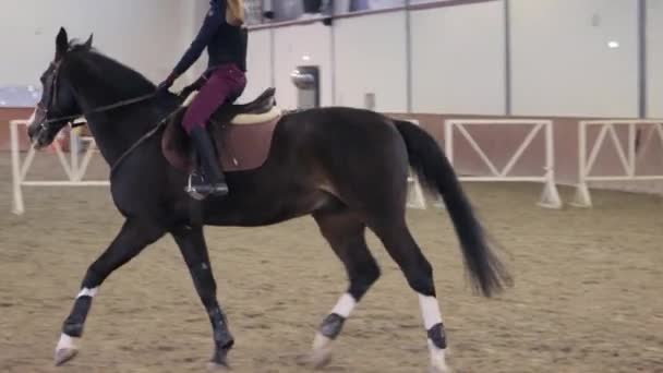 Ragazza cavalcando il suo cavallo su ippodromo — Video Stock