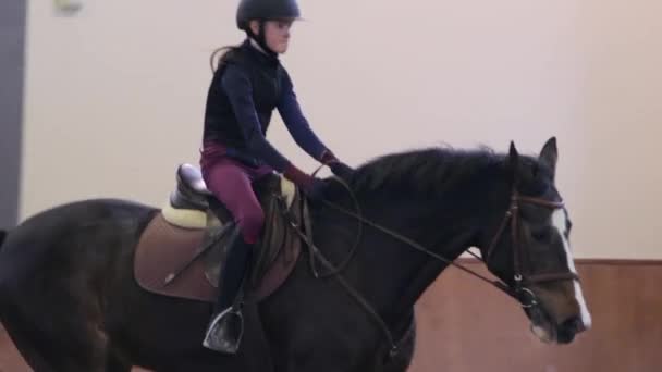 Chica montando su caballo en el hipódromo — Vídeo de stock