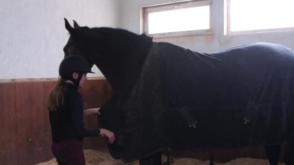 Chica con su caballo en el establo — Vídeos de Stock