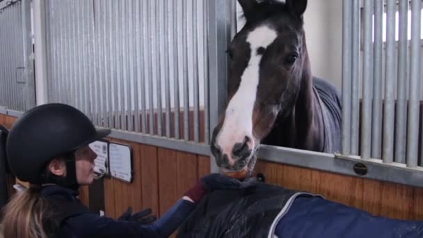 Fille avec son cheval dans l'écurie — Video