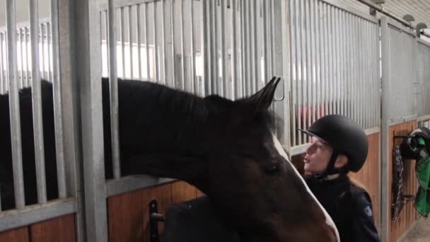 Flicka med hästen i stallet — Stockvideo