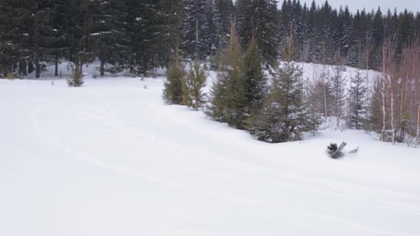 Mladá žena lyžování na lesní cestě — Stock video
