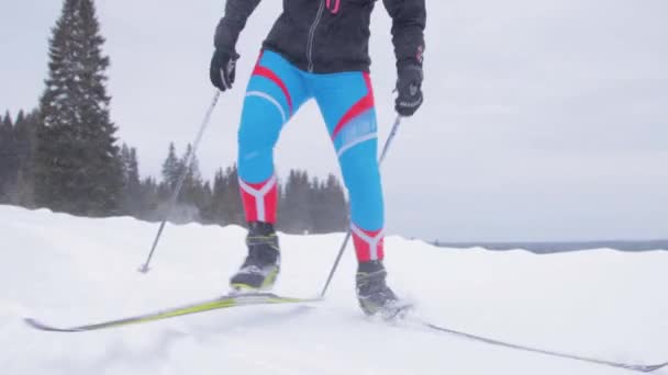 Young woman skiing on a forest trail — Stock Video