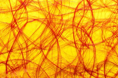 Kırmızı Sarı net