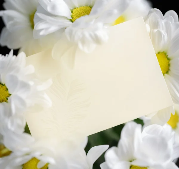 Greeting card and flowers — Stock Photo, Image