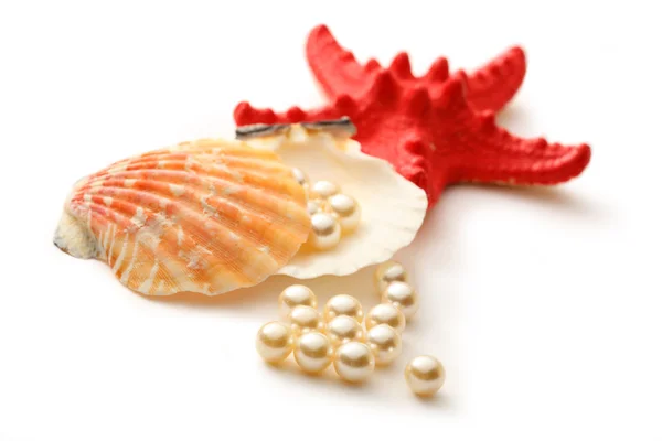 Białe perły seashell i seastar — Zdjęcie stockowe