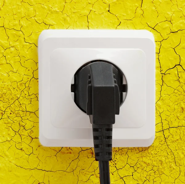 Wall plug socket — Stock Photo, Image