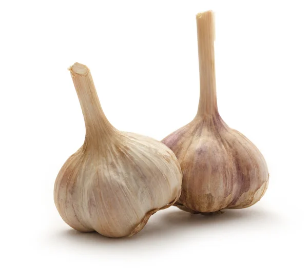 Garlic bulbs — Stock Photo, Image