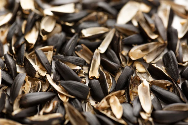 Sunflower seed husk — Stock Photo, Image