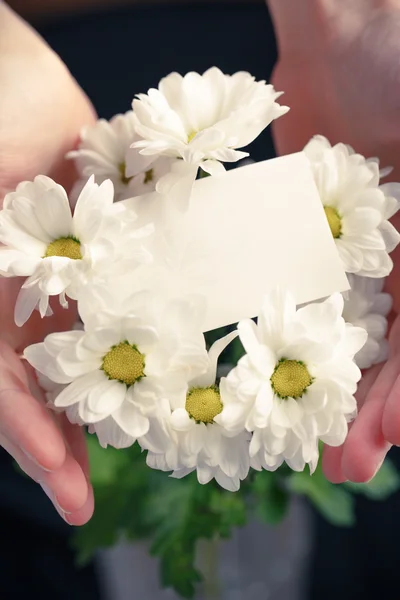 Chrysanthemum with blank card — Stock Photo, Image
