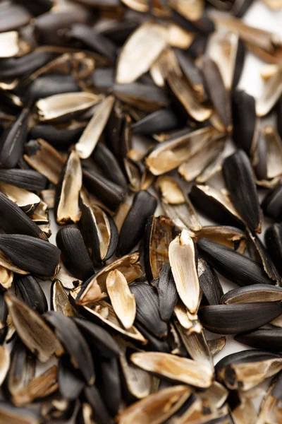 Sunflower seed husk — Stock Photo, Image