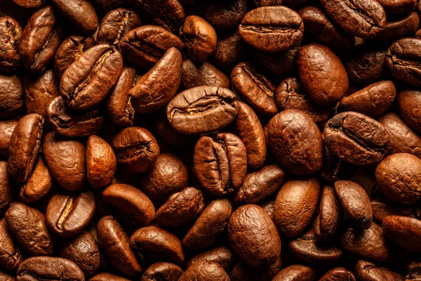 Brown coffee beans — Stock Photo, Image