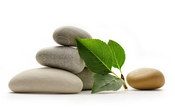 Stones with leaves — Stock Photo, Image