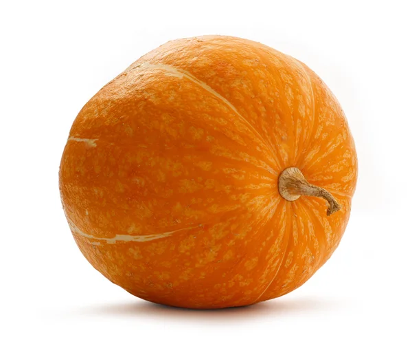 Large ripe pumpkin — Stock Photo, Image