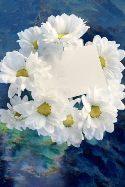 Chrysanthemum with blank card — Stock Photo, Image