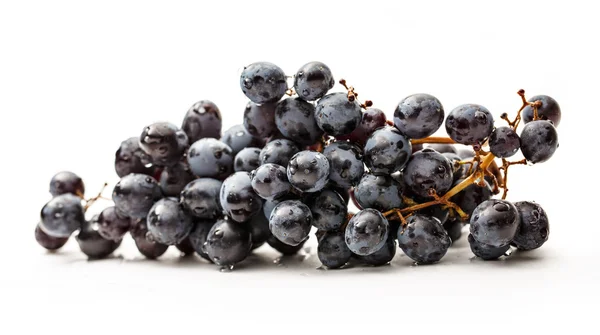 Twig of black grapes — Stock Photo, Image