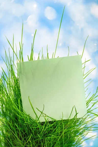 Adesivo verde em branco na grama — Fotografia de Stock